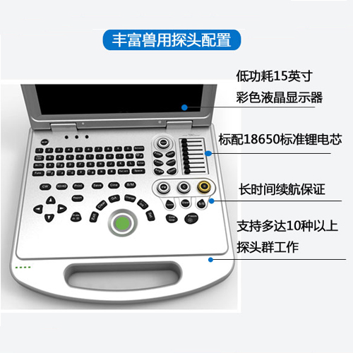 1-21010G54554.jpg
